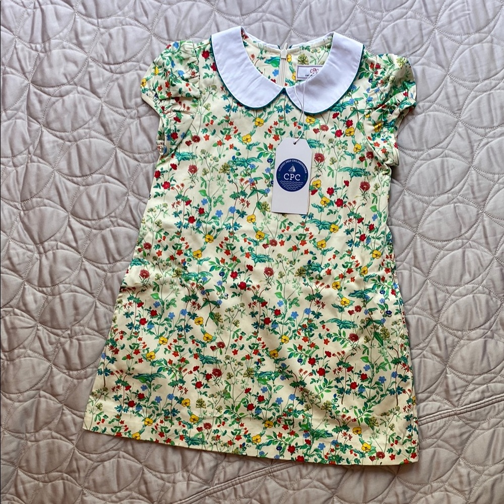 Peter-Pan Collared Wildflower Dress — 5T